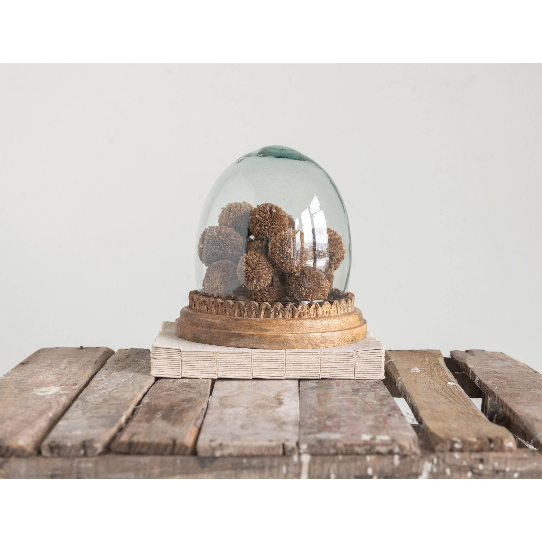 Recycled Glass Cloche on Hand-Carved Mango Wood Base, Set of 2 Pieces P62933