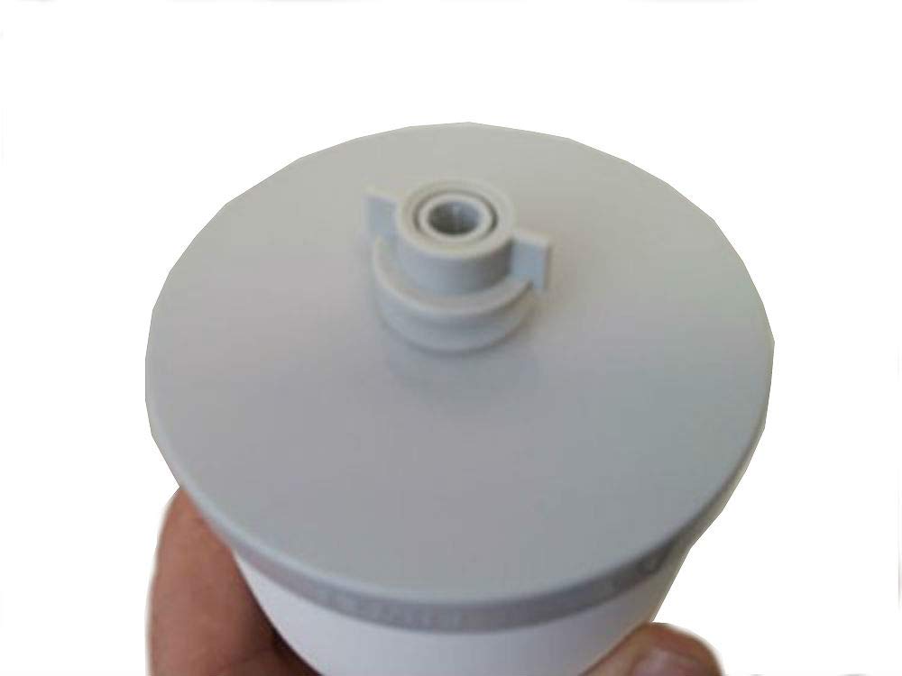 Ceramic Dome Water Filter Element with Silver Purification W659