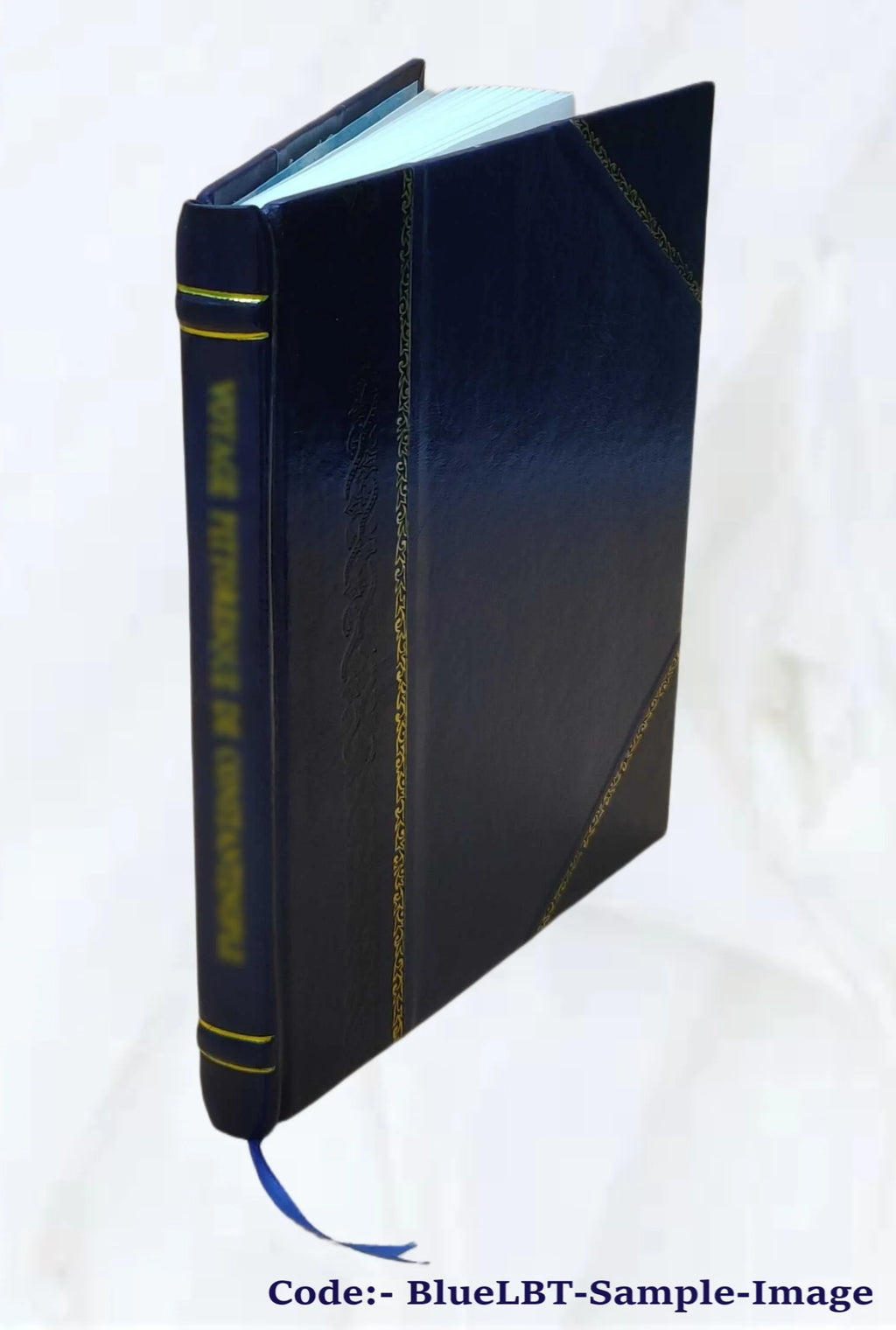 Fanny and Robbie: A Year Book for the Children of the Church 1867 V606626