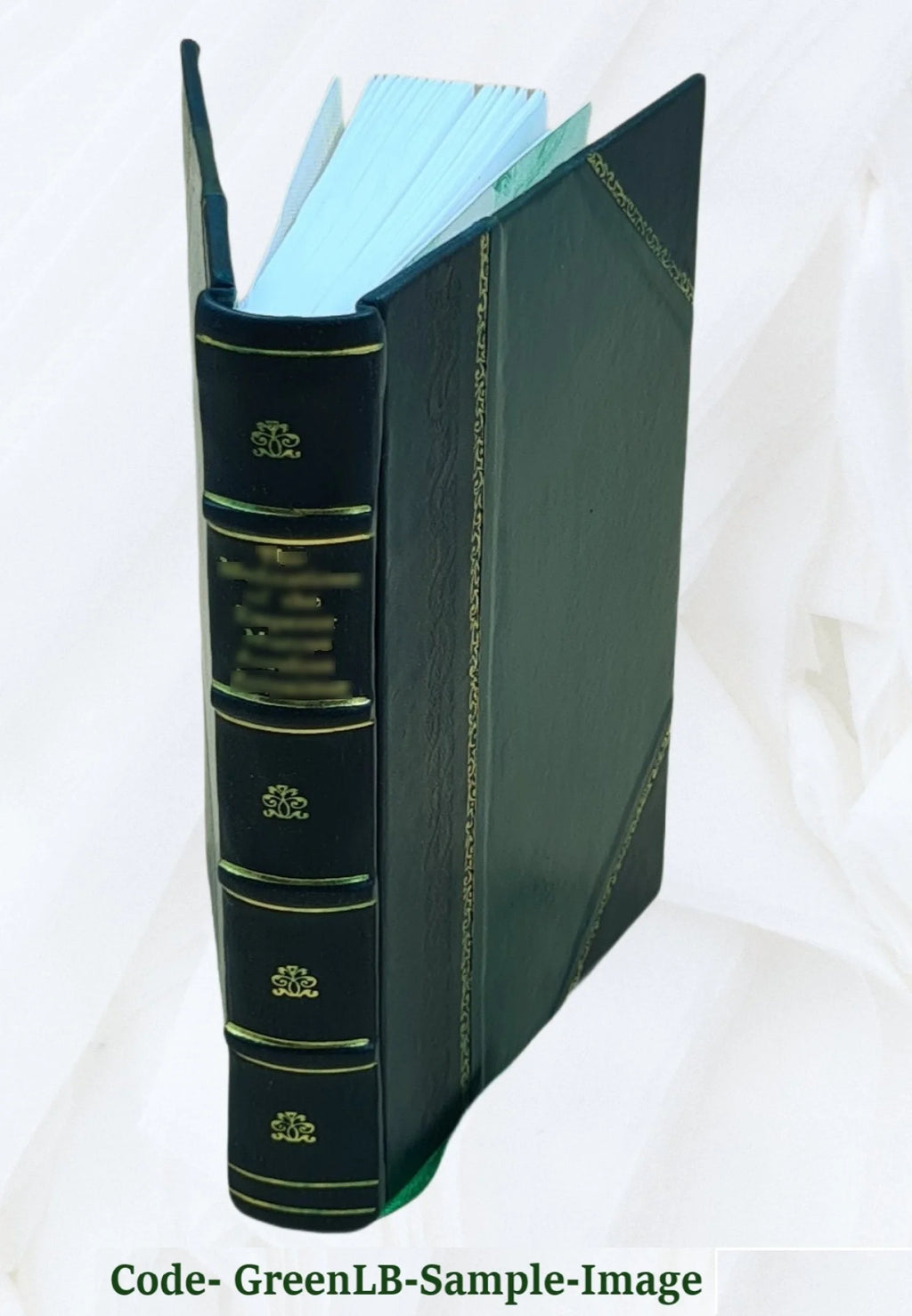 Leather Bound Book U823083