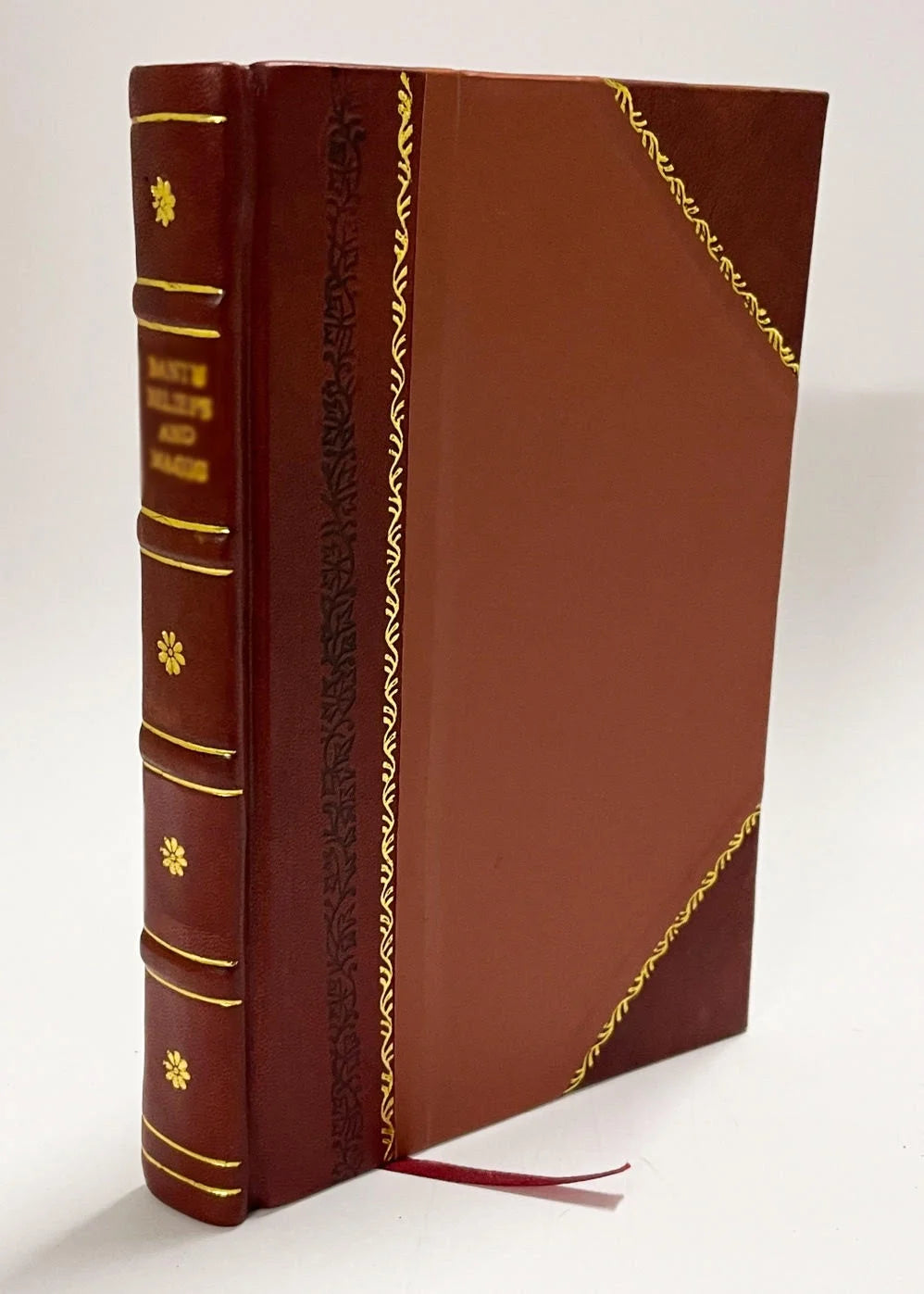 Leather Bound Book S581