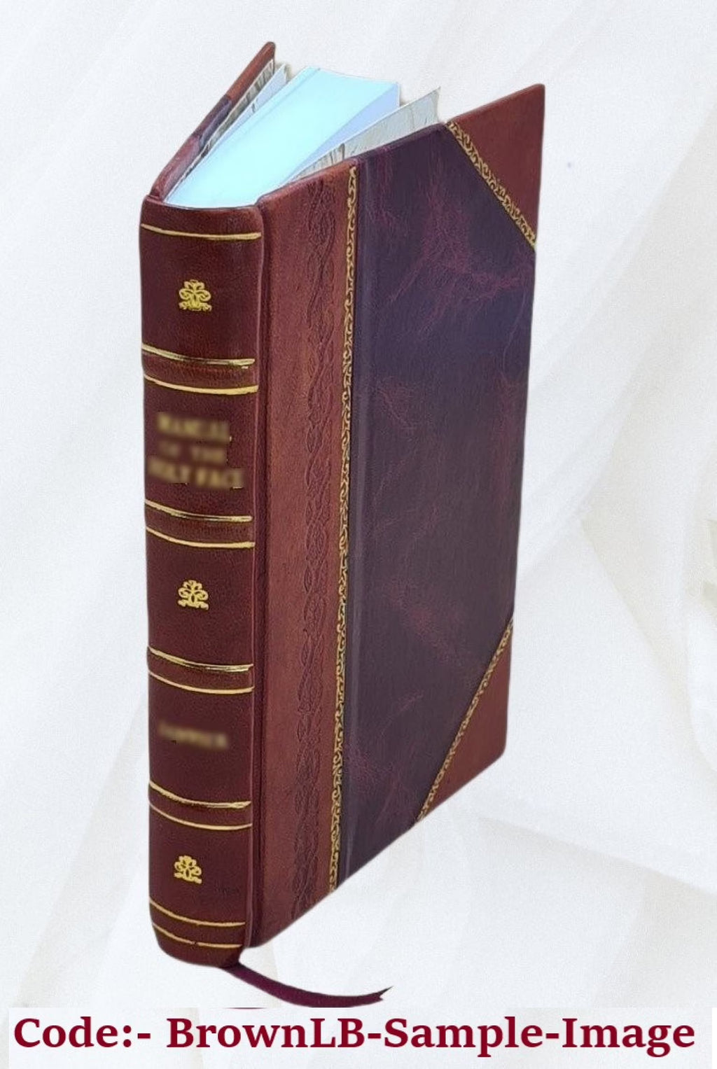 Leather Bound Book U823083