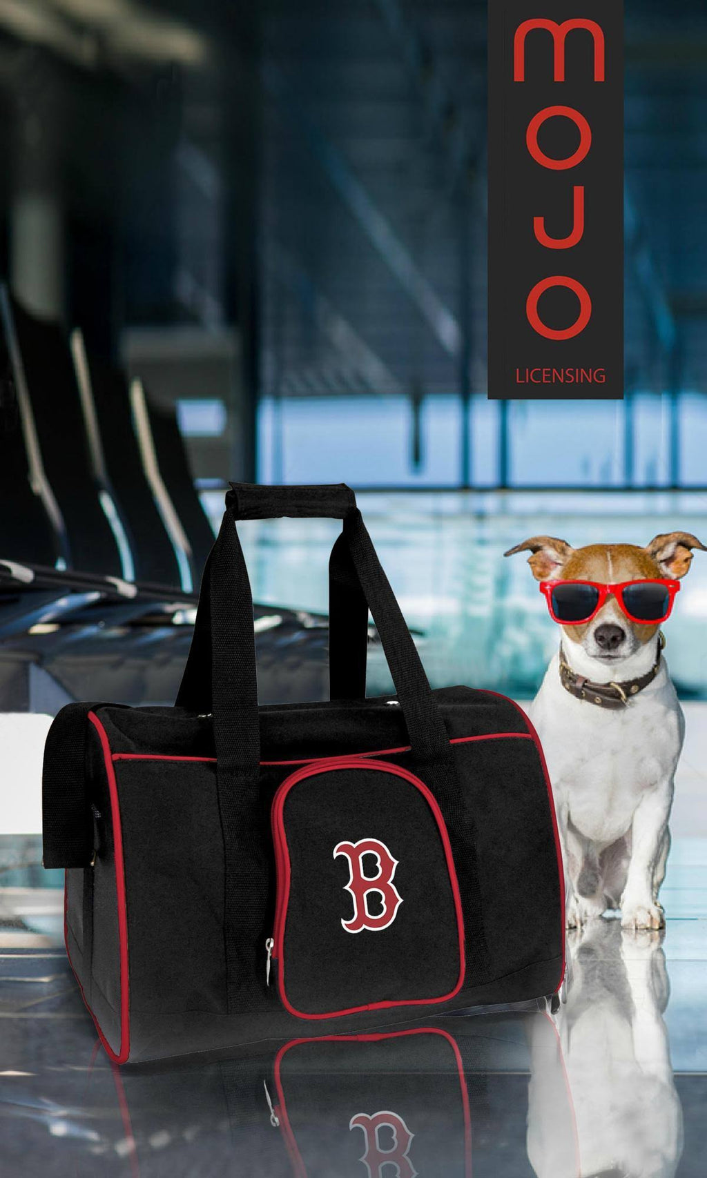 Premium Pet Carrier T49459