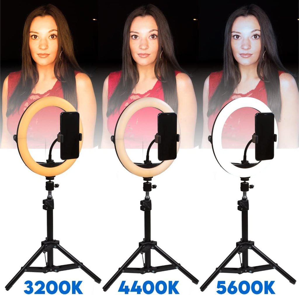10 Compact Foldable Dimmable LED Video Ring Light Kit with Phone Holder and Light Stand L59670