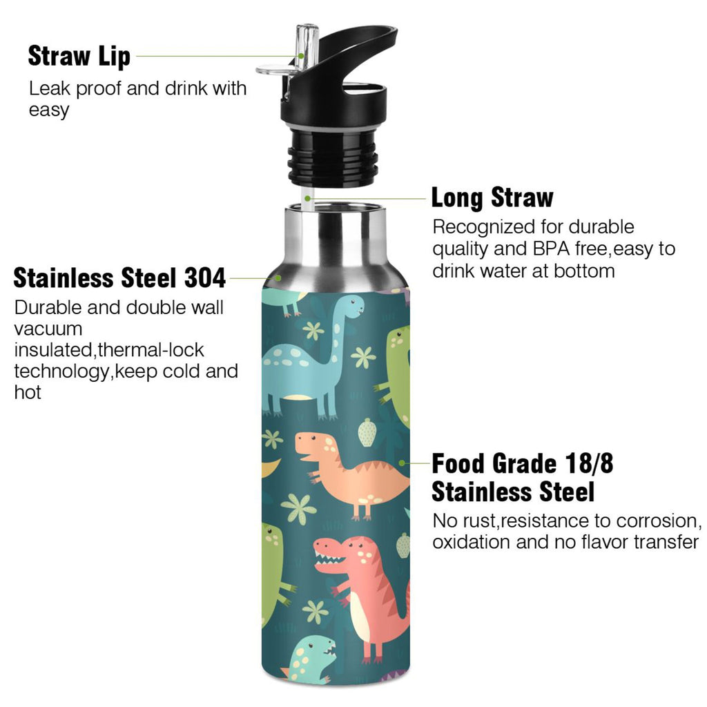 20 OZ Stainless Steel Vacuum Insulated Water Bottle with Straw Lid G419673