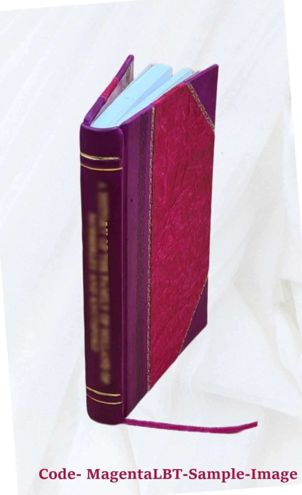 Fanny and Robbie: A Year Book for the Children of the Church 1867 V606626
