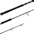Terez Spinning Rod D6242
