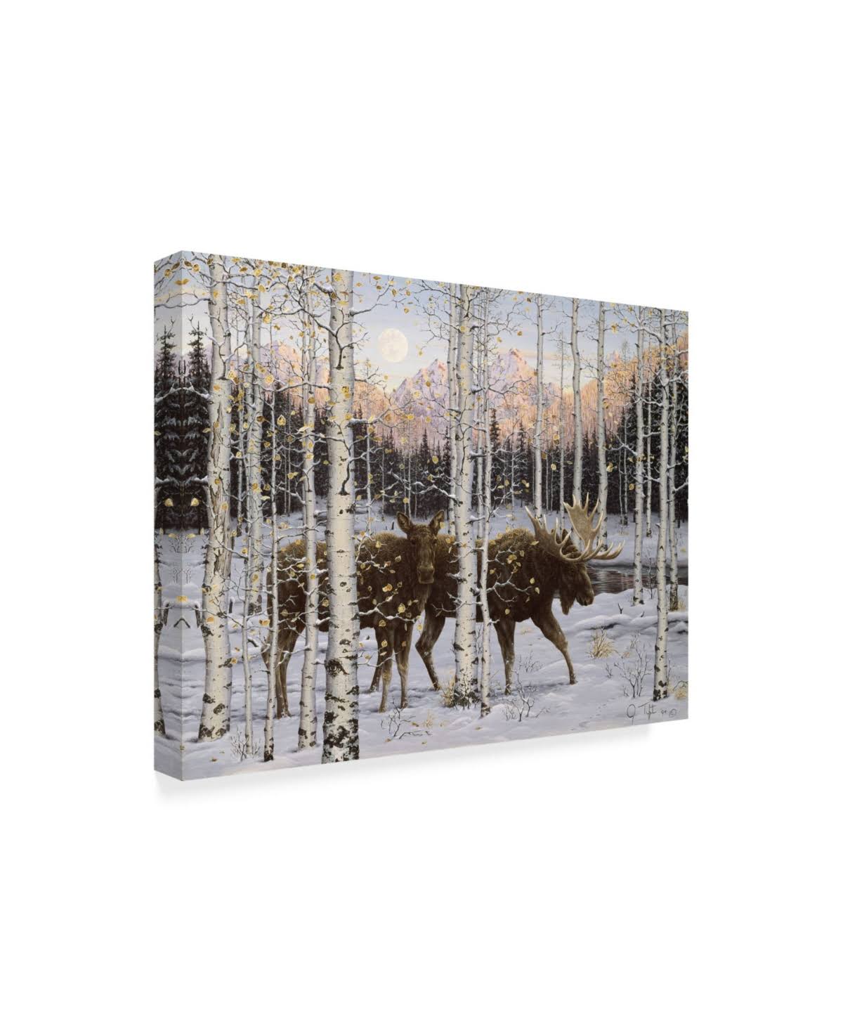 Canvas Art Z562291
