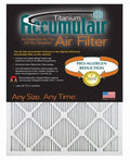 4 Pack 1-Inch Filter P524955