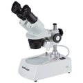 Student Forward Binocular Stereo Microscope 10X-20X-40X J273