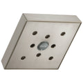 Stainless Shower Head A9510