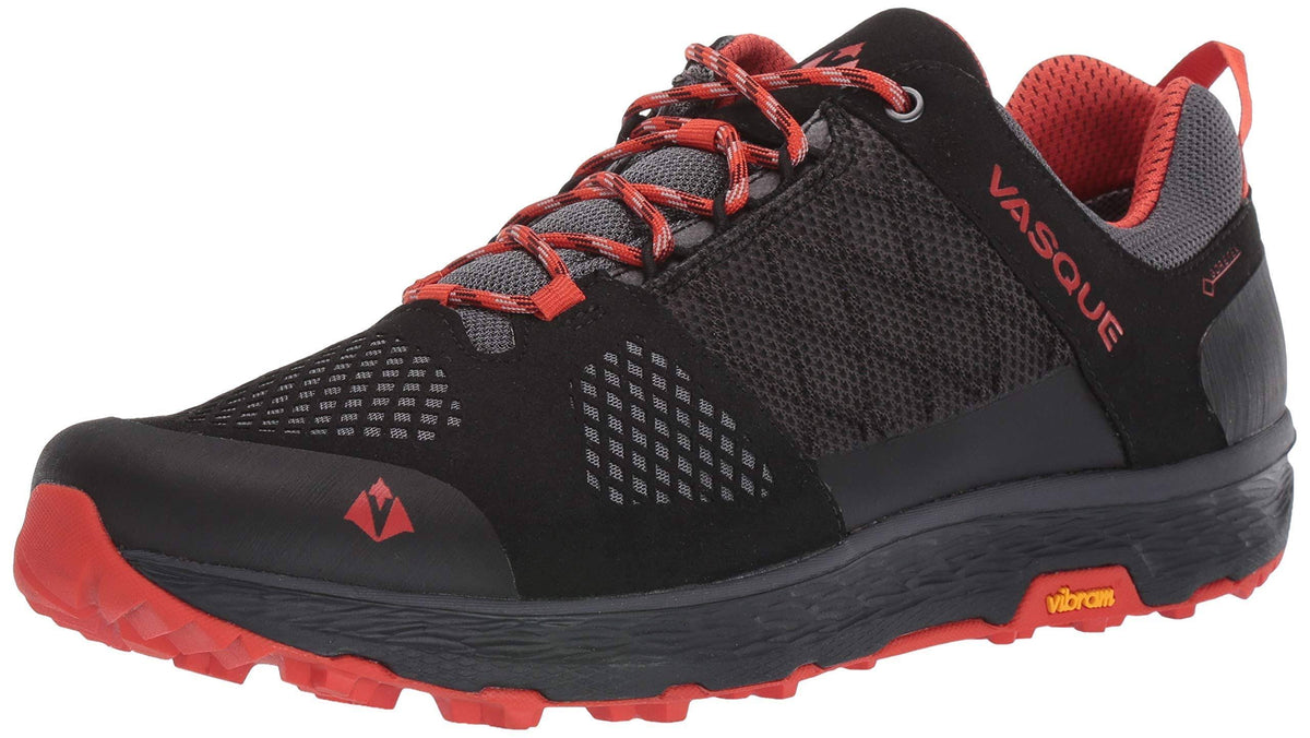 Anthracite Low GTX Hiking Shoes Y59407