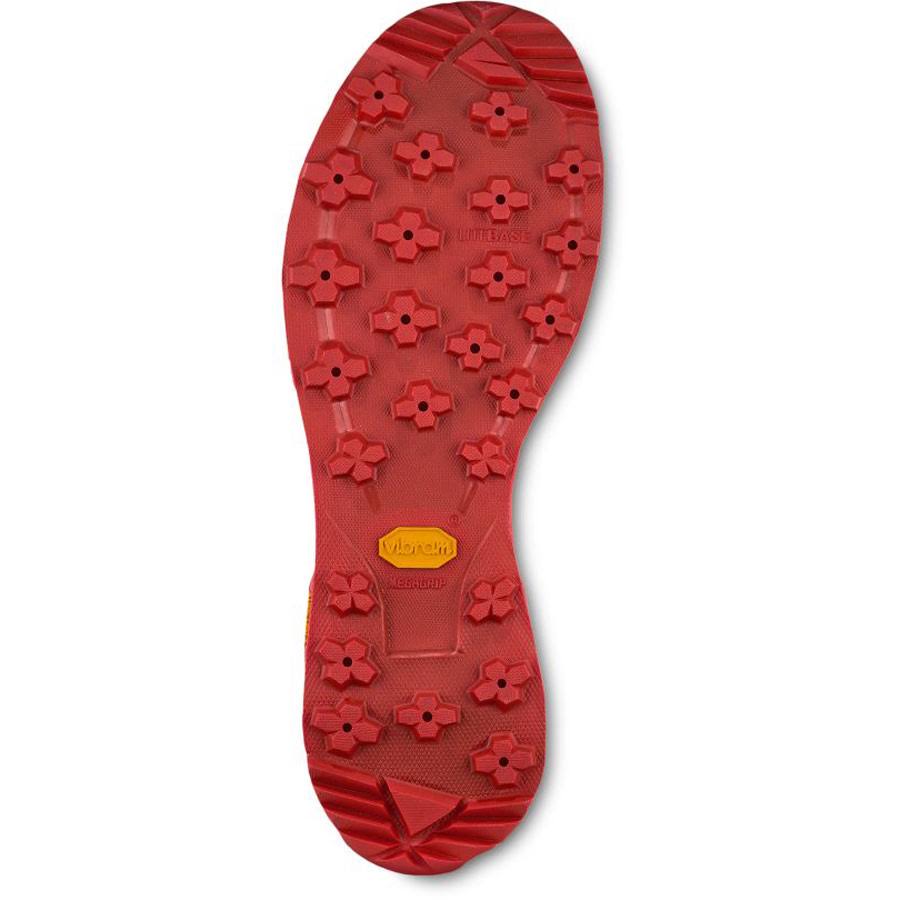 Anthracite Low GTX Hiking Shoes Y59407