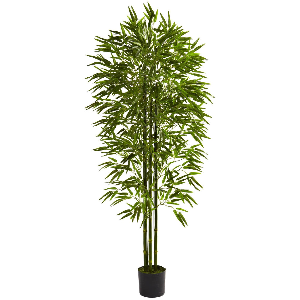 Green Bamboo Tree T639