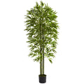 Green Bamboo Tree T639