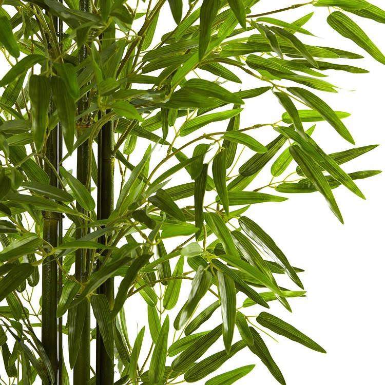Green Bamboo Tree T639