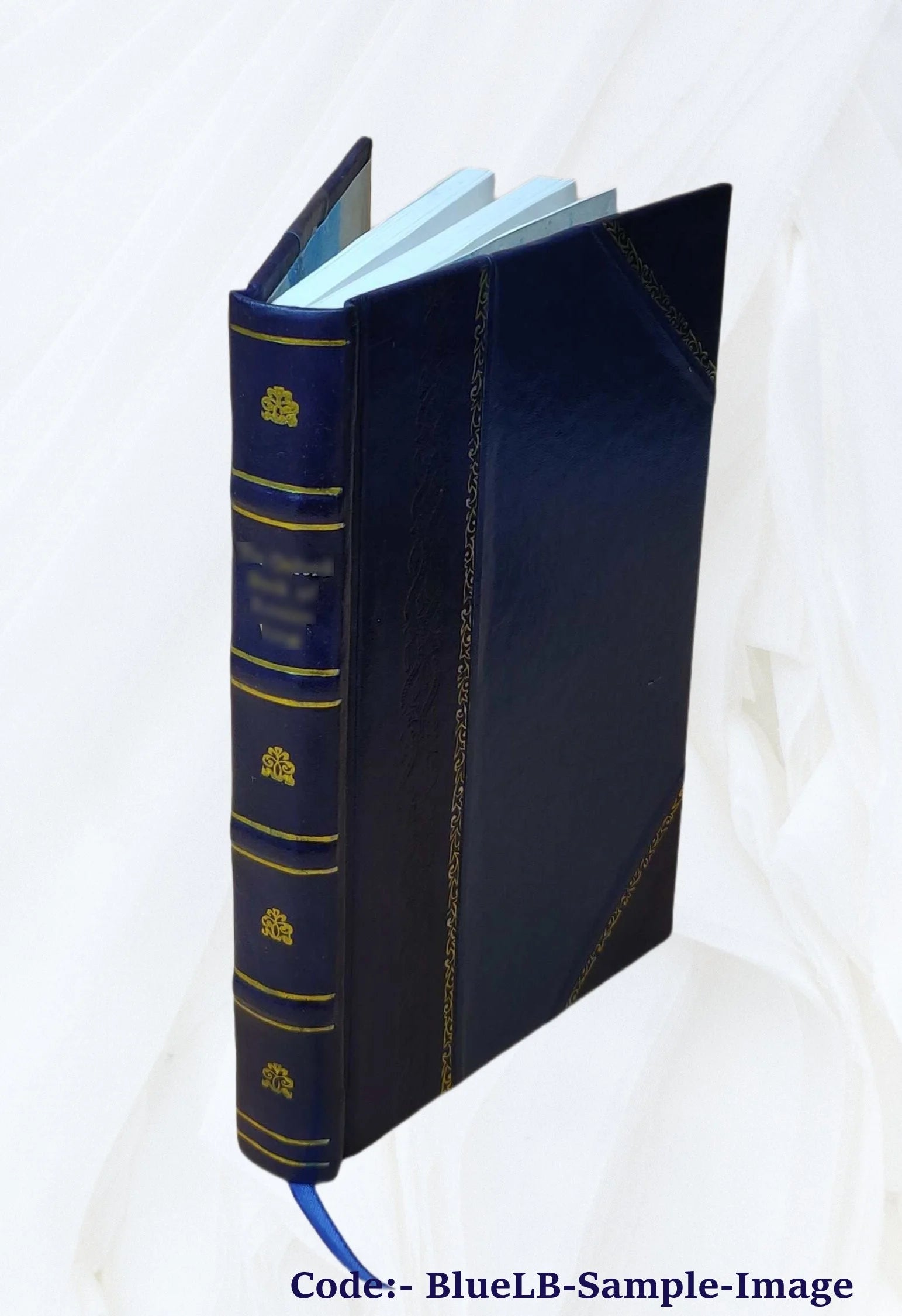 Leather Bound Book U823083