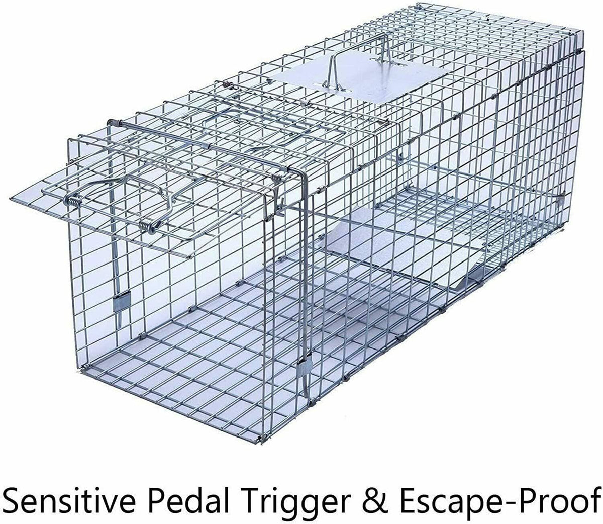 Large Collapsible Humane Live Animal Cage Trap Y190387