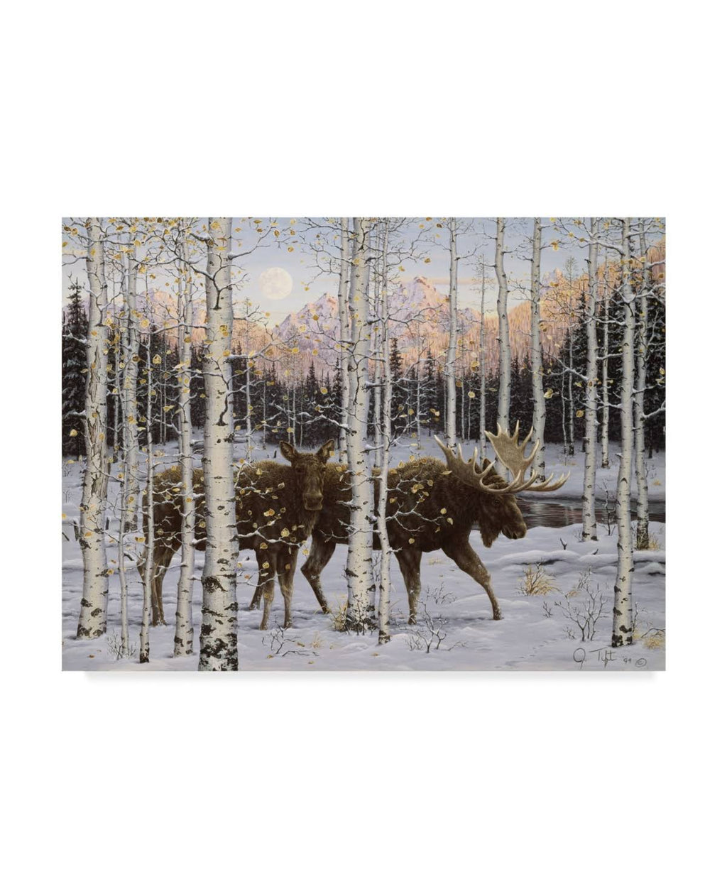 Canvas Art Z562291
