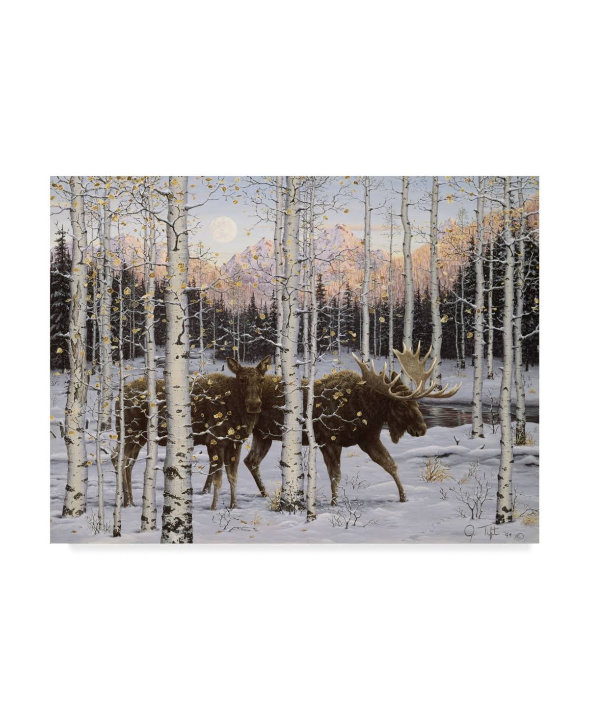 Canvas Art Z562291