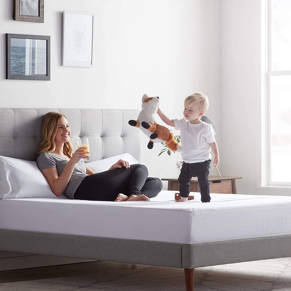 Twin Mattress Protector C690832
