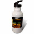 21 oz Sports Water Bottle F353232