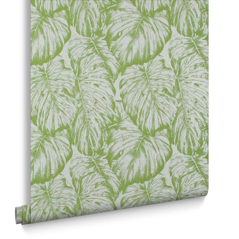 Tropical Parakeet Wallpaper F244155