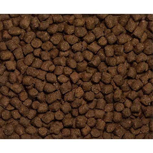 Dry Ferret Food K306