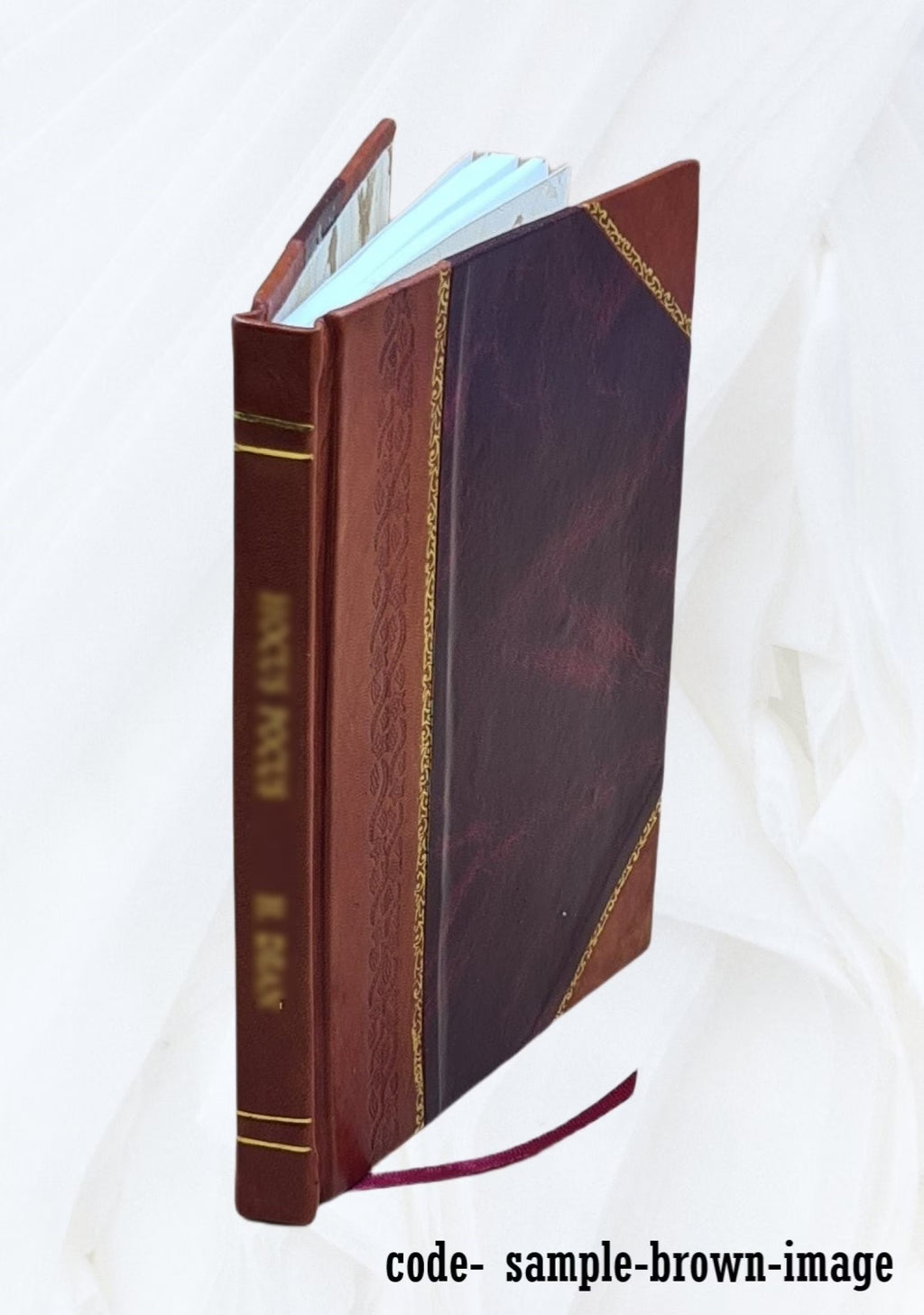 Fanny and Robbie: A Year Book for the Children of the Church 1867 V606626