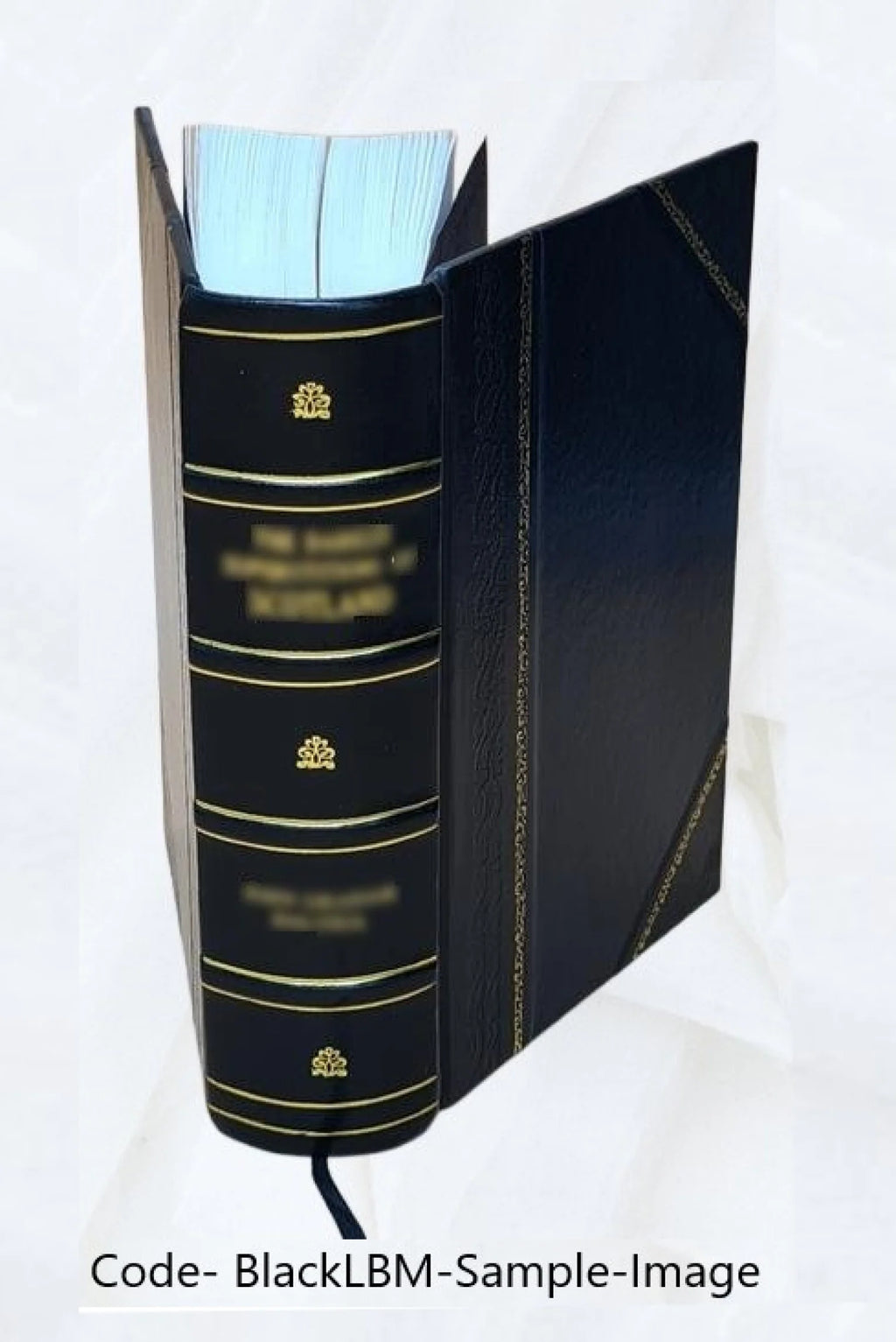 Historia Graeca. Recensuit animadversiones adiecit S.F.N.Morus. Accedit seunclaviana versio. 1778 [Leather Bound] U1903