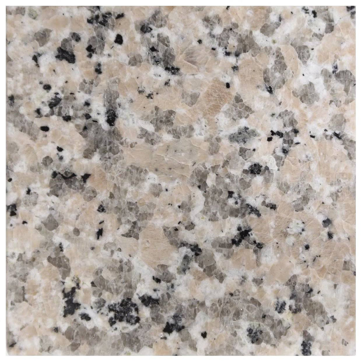 Burlywood Granite Vanity Top 37 in x 22 in with Backsplash 4 in Spread C913