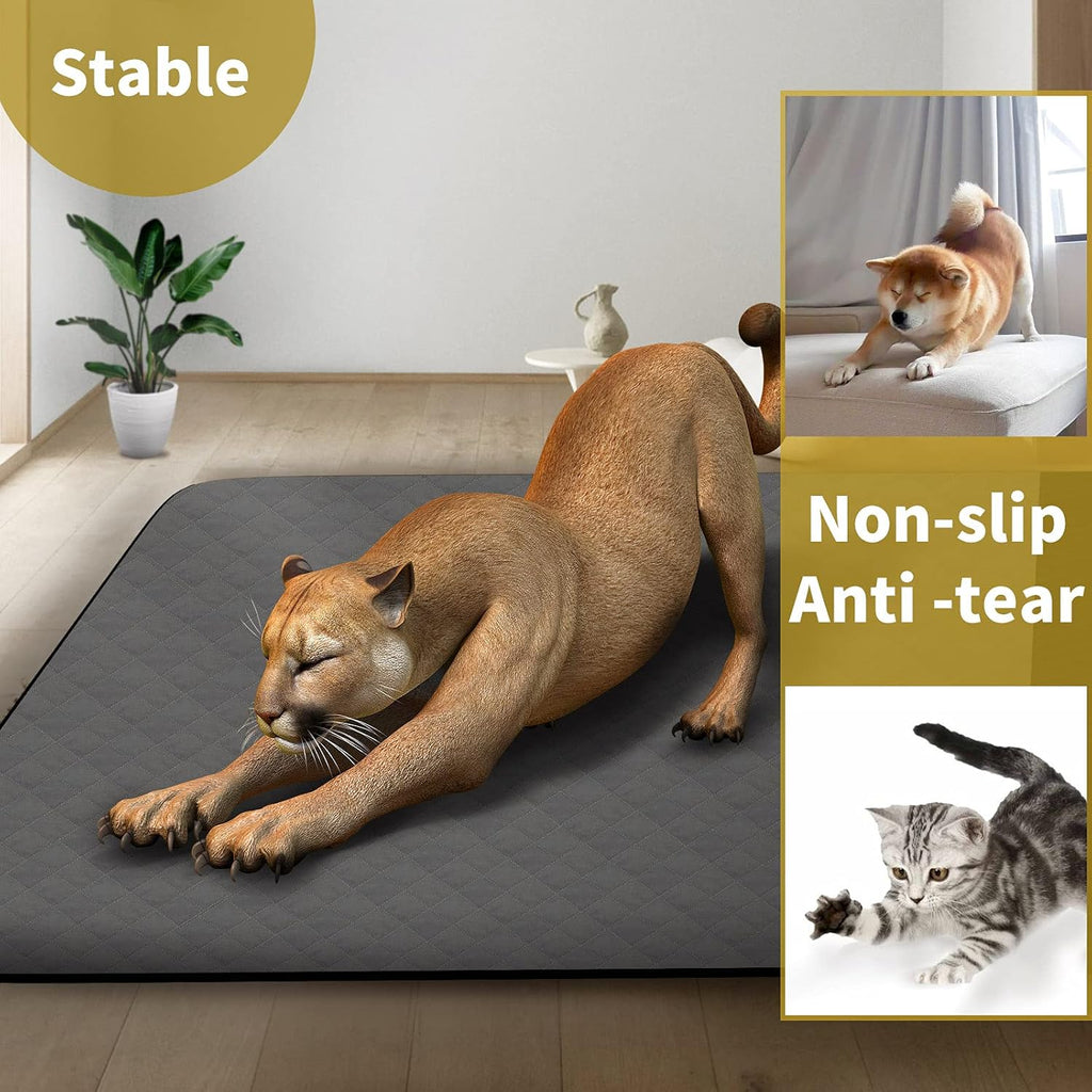 Washable Waterproof Puppy Dog Pee Pad, 72 X72 Extra Large T247