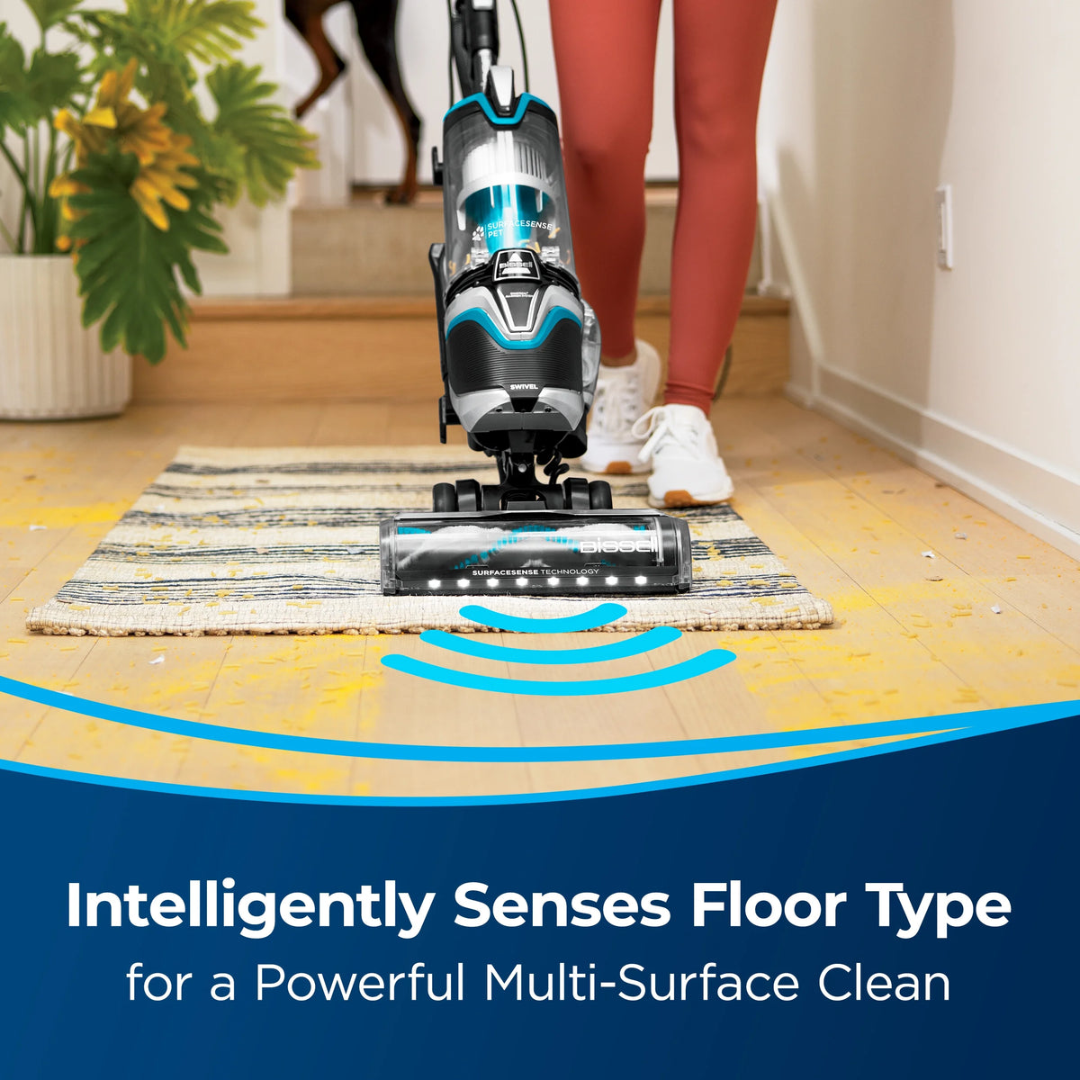 Multi-Surface Pet Vacuum L70504
