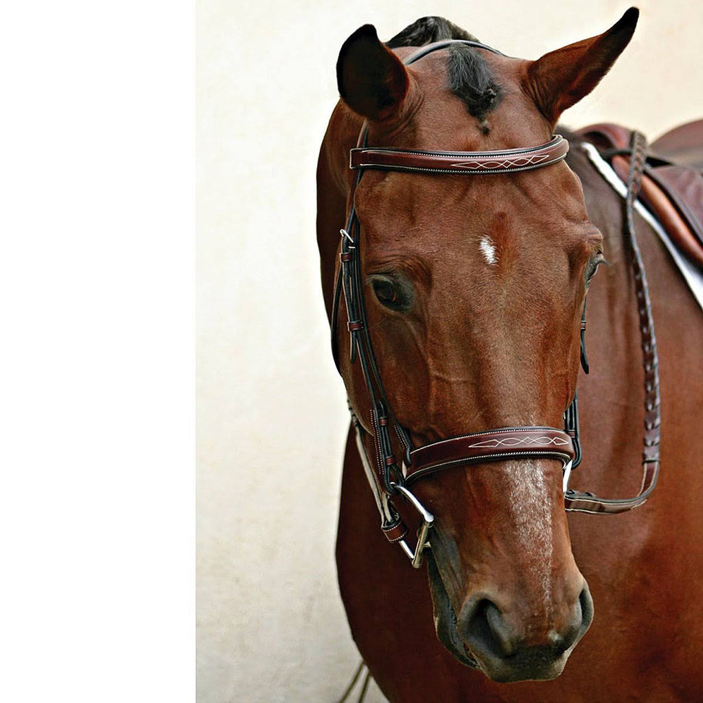 Havana Bridle D92547