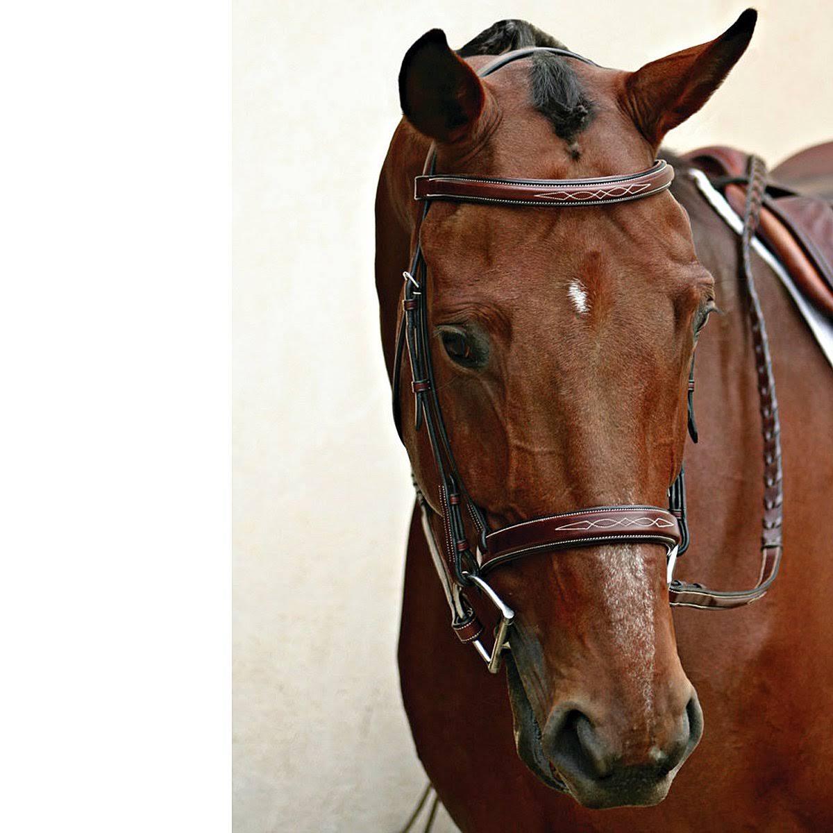 Havana Bridle D92547