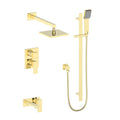 Polished Gold Shower System D8904