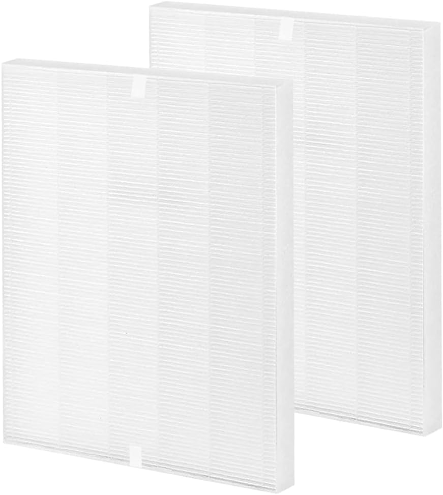 True HEPA Replacement Filter Pack of 2 G7617