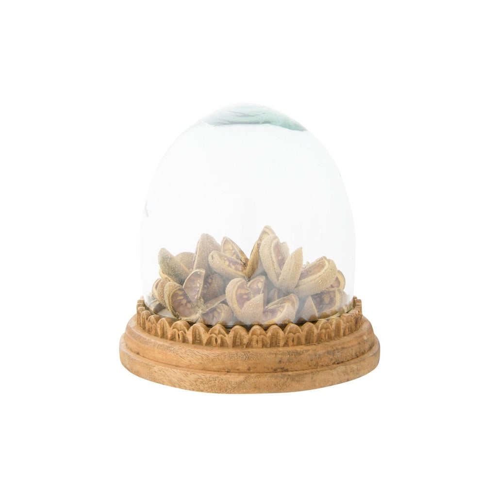 Recycled Glass Cloche on Hand-Carved Mango Wood Base, Set of 2 Pieces P62933