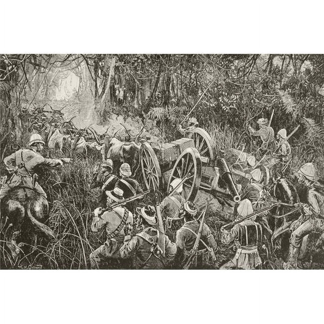 British Troops Force A Line of Artillery Pieces Drawn By Oxen Teams Through The Bush During The First Boer War E787