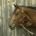 3/4-Inch Leather Show Halter, Havana, Yearling G659