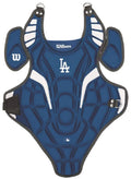 Youth Catchers Box Set C210