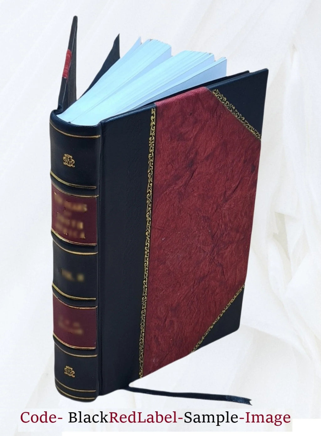 Leather Bound Book U823083