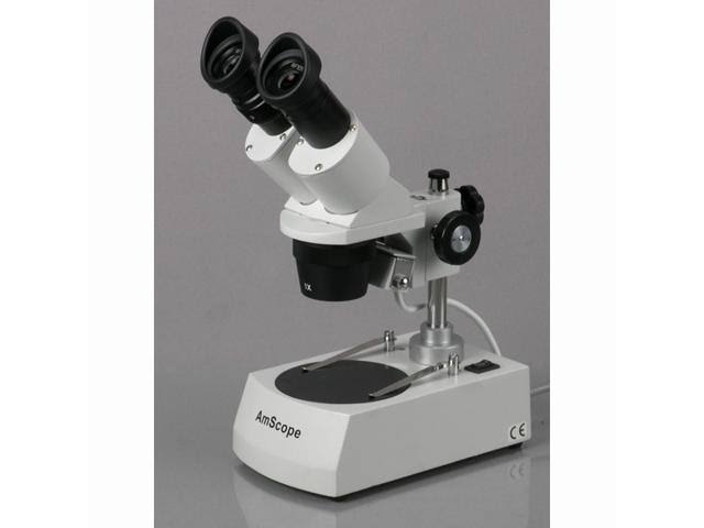 Student Forward Binocular Stereo Microscope 10X-20X-40X J273