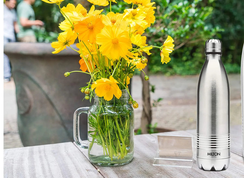 Insulated Steel Bottles 750 ml I742055